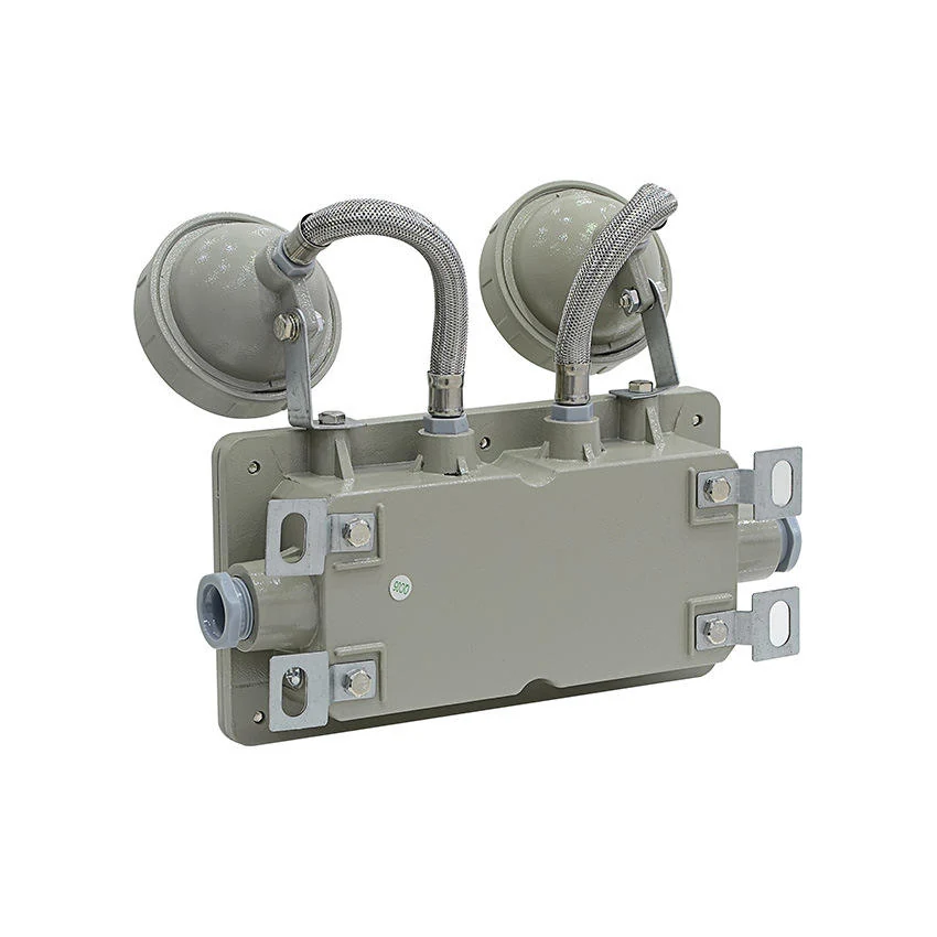 Explosion Proof LED Emergency Twin Spot - Back